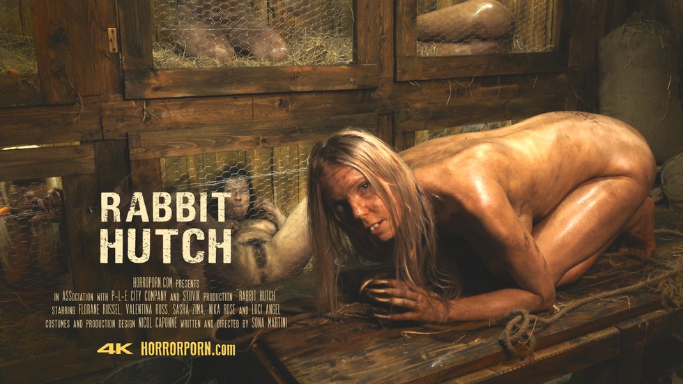 rabbit.hutch
