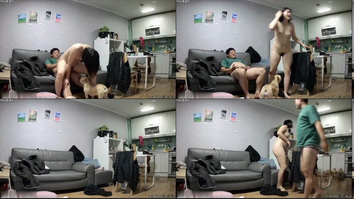 黑客破解网络摄像头偷拍 姐夫和小姨子趁着姐姐没回家在沙发上草逼小狗好奇抵近观阴