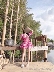 极品巨乳网红npxvip（4）