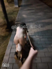 專約極品大神『橘sir-S』深夜路邊逮到一隻流浪小母狗，從路邊到公園溜了一圈，不斷的躲避著來往的行人，帶到一處僻靜的角落，勒著脖子狠狠的後入！