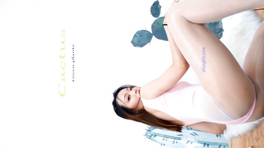 熱舞派 瑤瑤VIP版 漏毛露點艷舞 多角度完整加密破解 4k合集 (4)